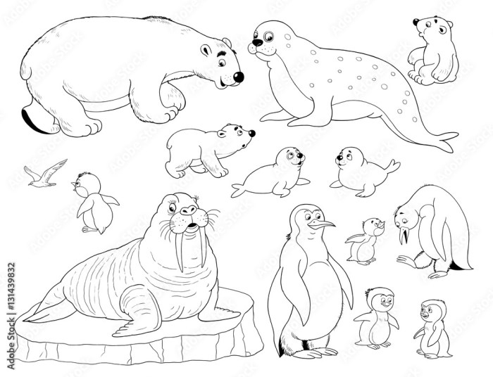 Coloring pages artic animals reading