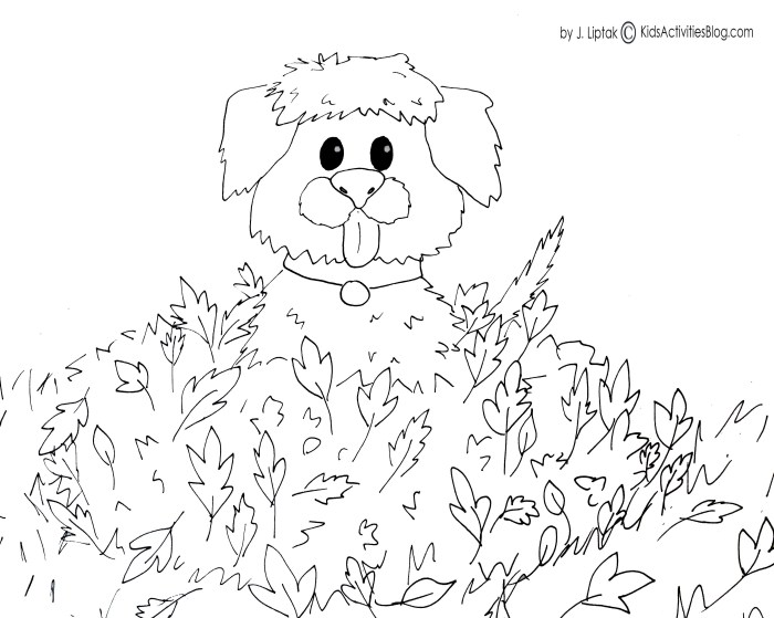 Coloring pages fall animals