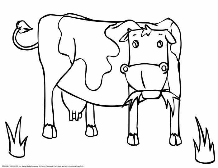 Animated Cow Dairy Coloring Book