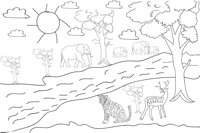 Forest animals coloring page