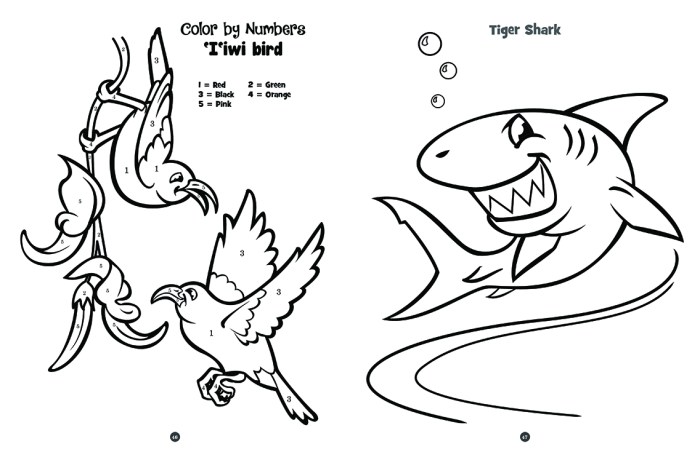 Endangered animals of hawaii coloring book