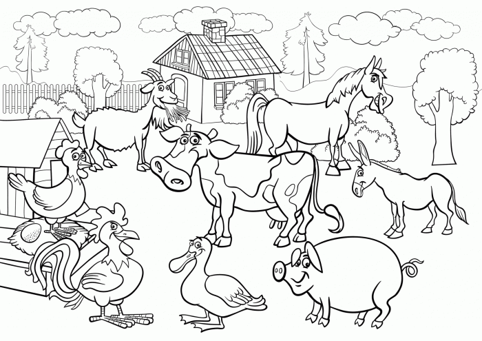 Farm animal coloring book pages