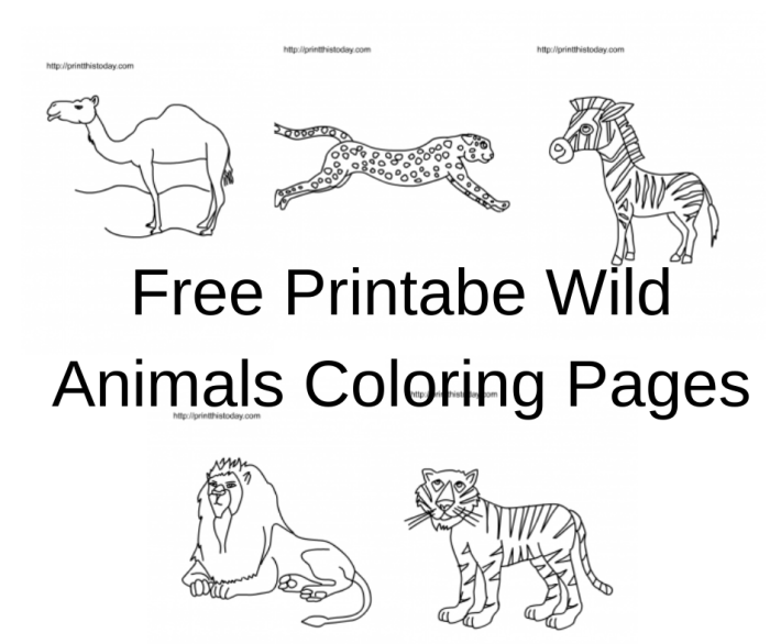 Free printable wild animal coloring pages