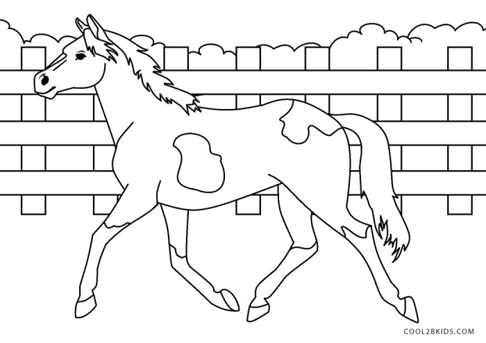 Coloring book horse pictures