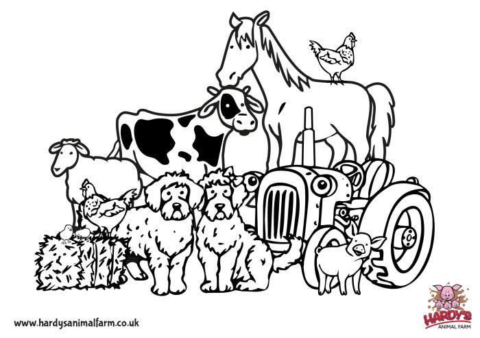 Farm animal coloring book pages