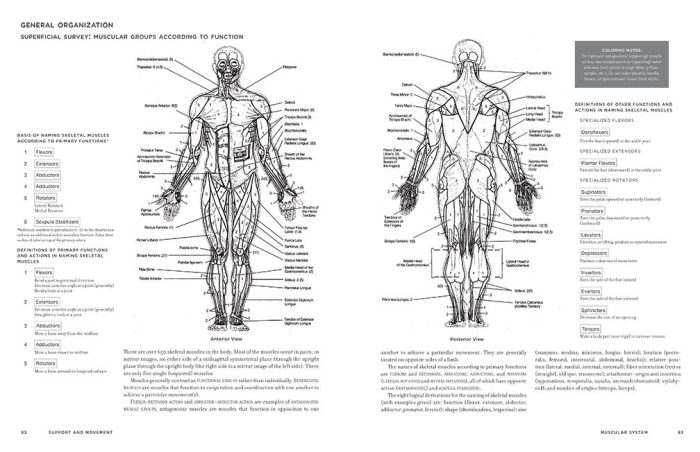 Anatomy coloring book kapit