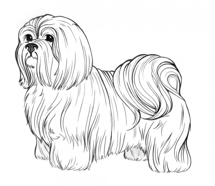 Anime dogs coloring pages