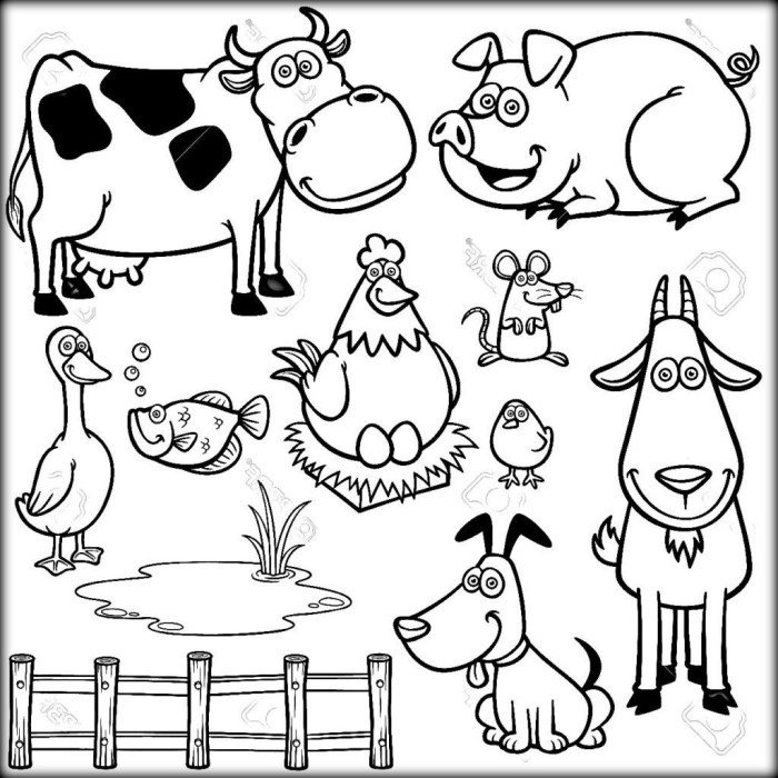 Animal coloring books pdf