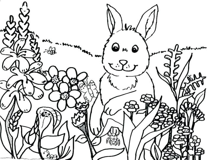 Coloring pages animal biology science