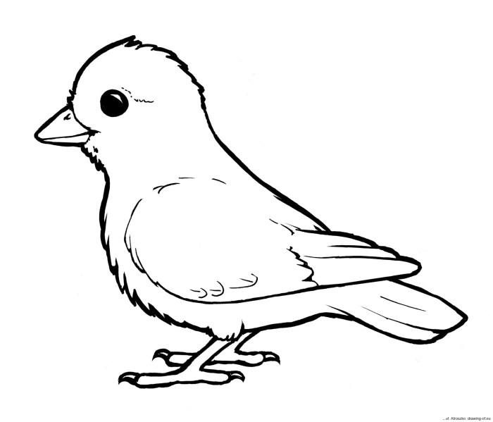 Animated bird coloring sheet