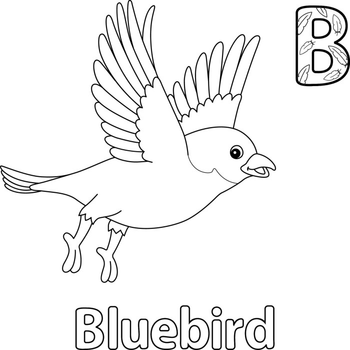 Animated blue bird coloring page