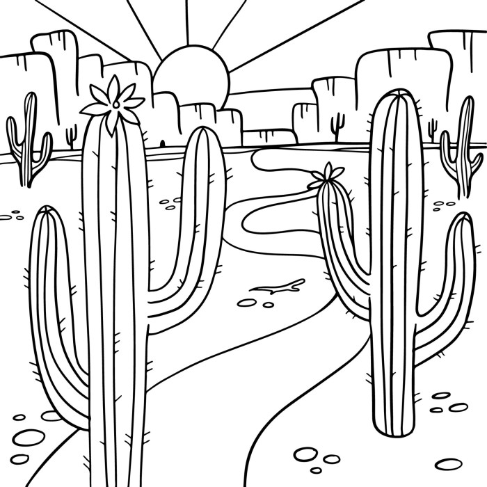 Arizona coloring book pages