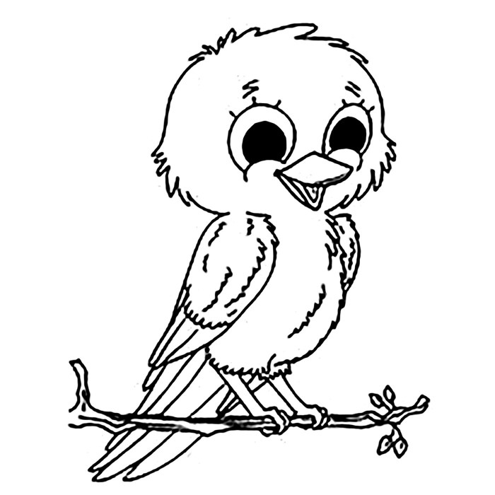 Animated Bird Coloring Sheet A Creative Guide