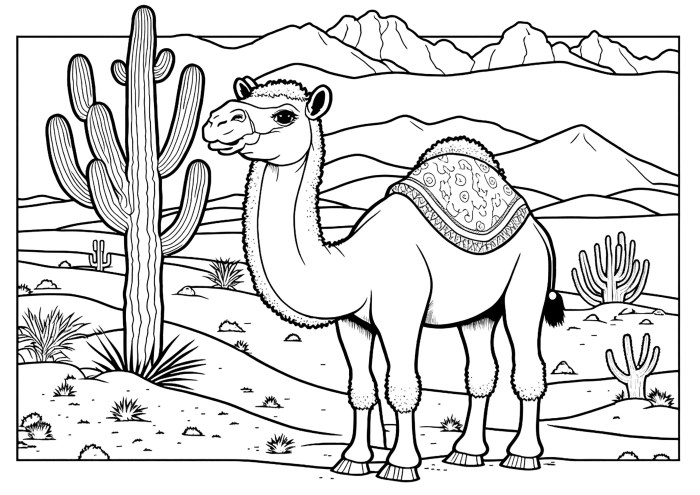 Desert Animal Coloring Pages Easy