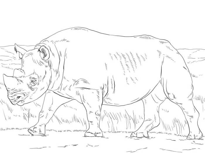 African animals coloring pages printable