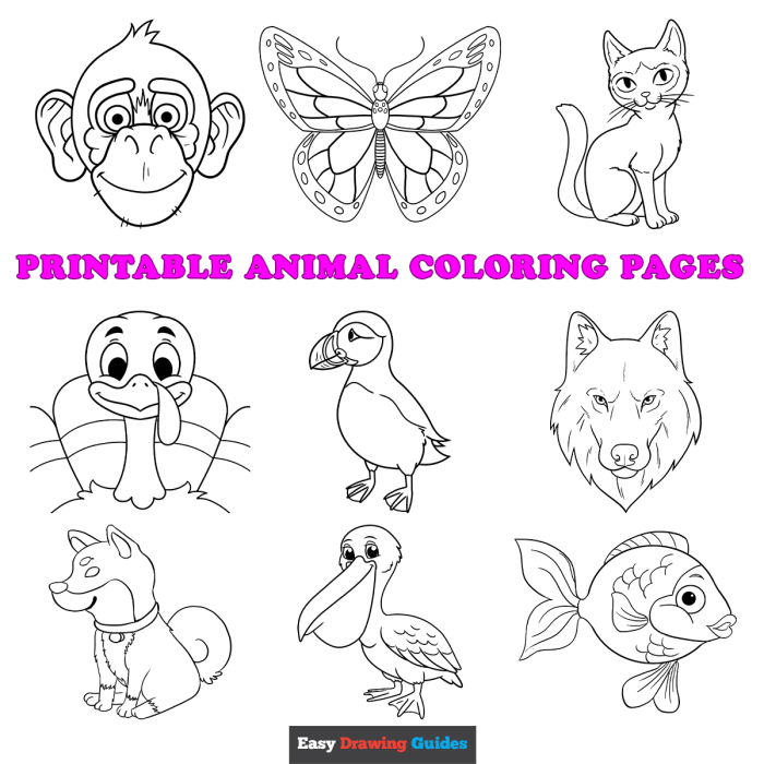 Animal coloring pages for preschoolers