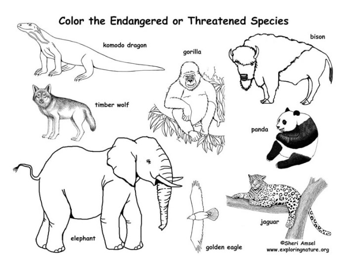 Endangered animals coloring pages