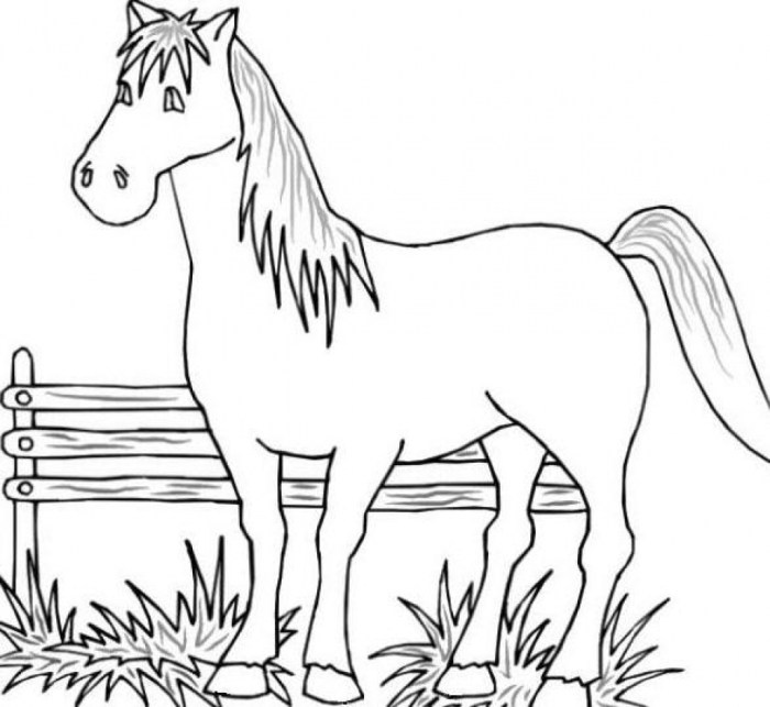 Coloring pages for kids farm animals