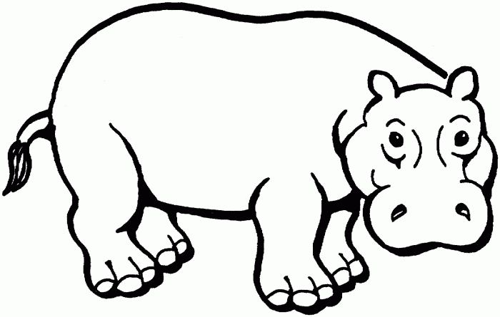 Farm Animal Coloring Pages Hippio A Fun Coloring Adventure