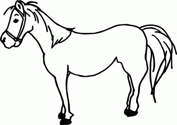 Coloring book horse pictures