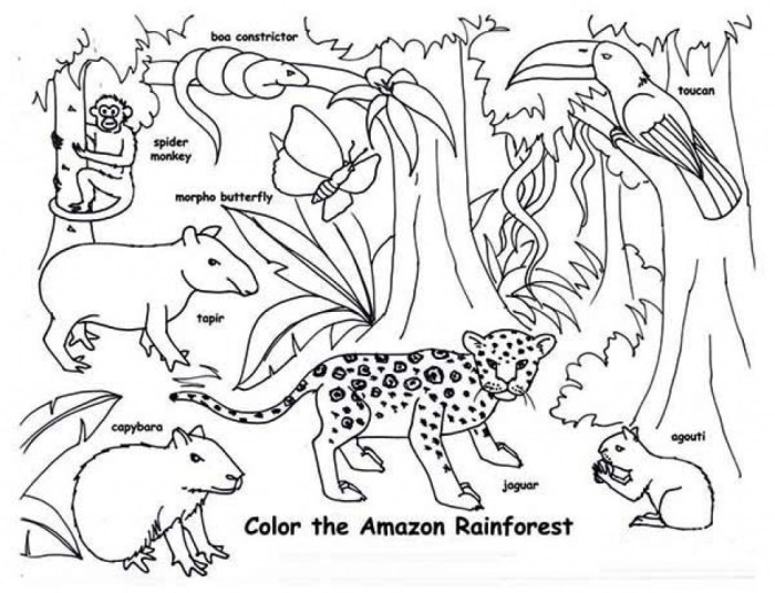 Endangered animals coloring pages